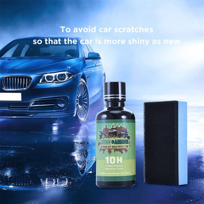 Car Paint Care